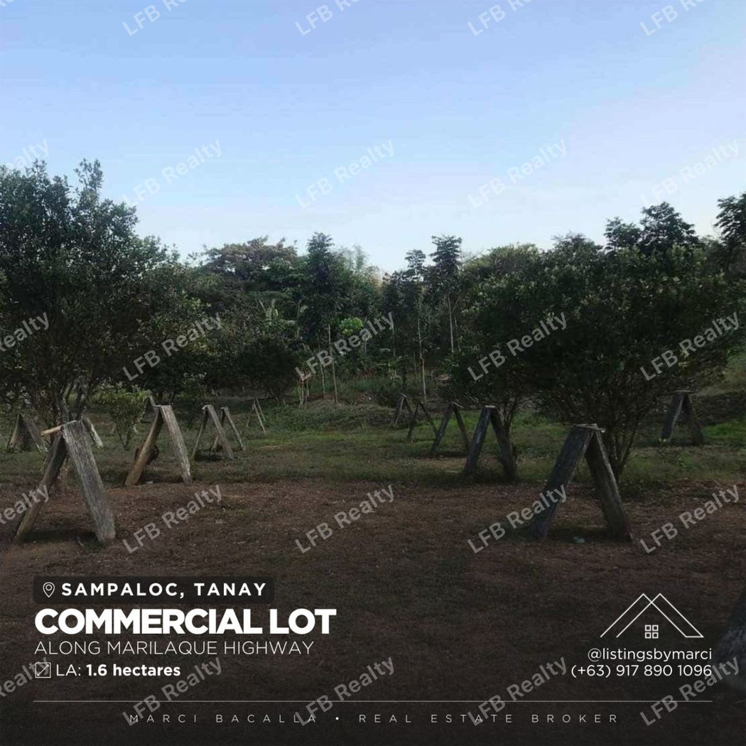 1.64-Hectare Commercial Lot for Sale along Marilaque Highway, Sampaloc, Tanay