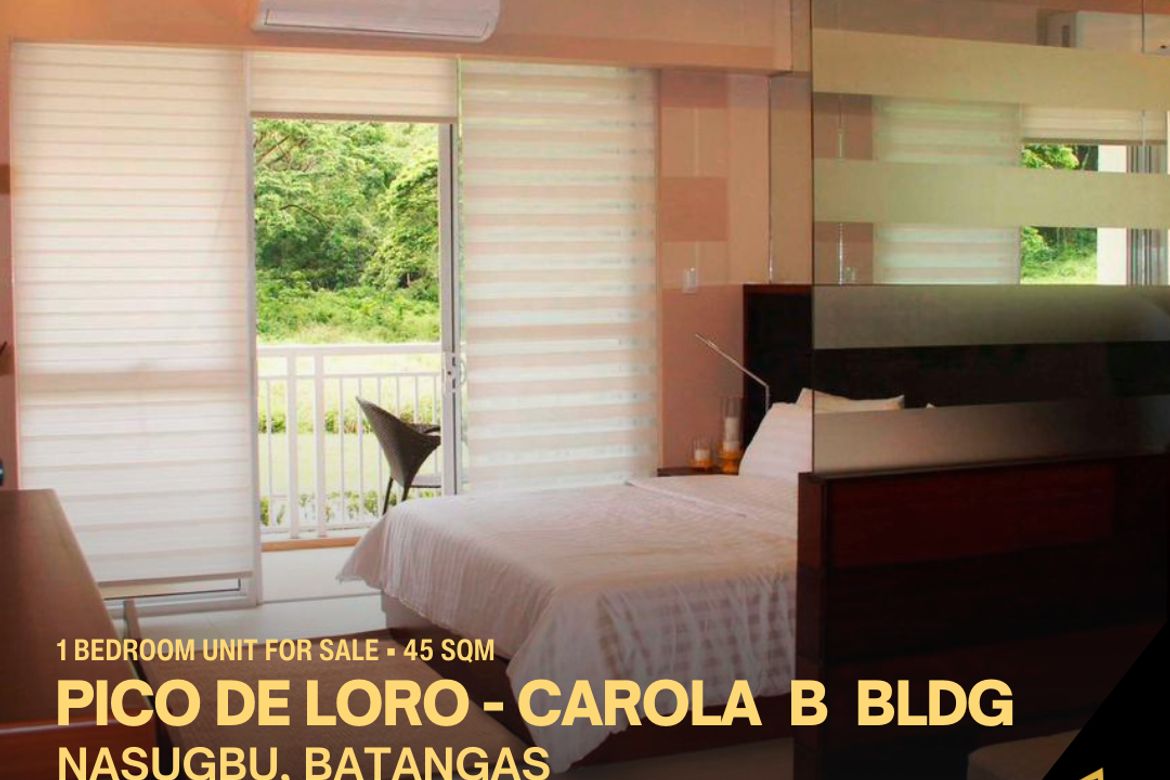 1 Bedroom Condo for Sale in Papaya, Nasugbu, Batangas