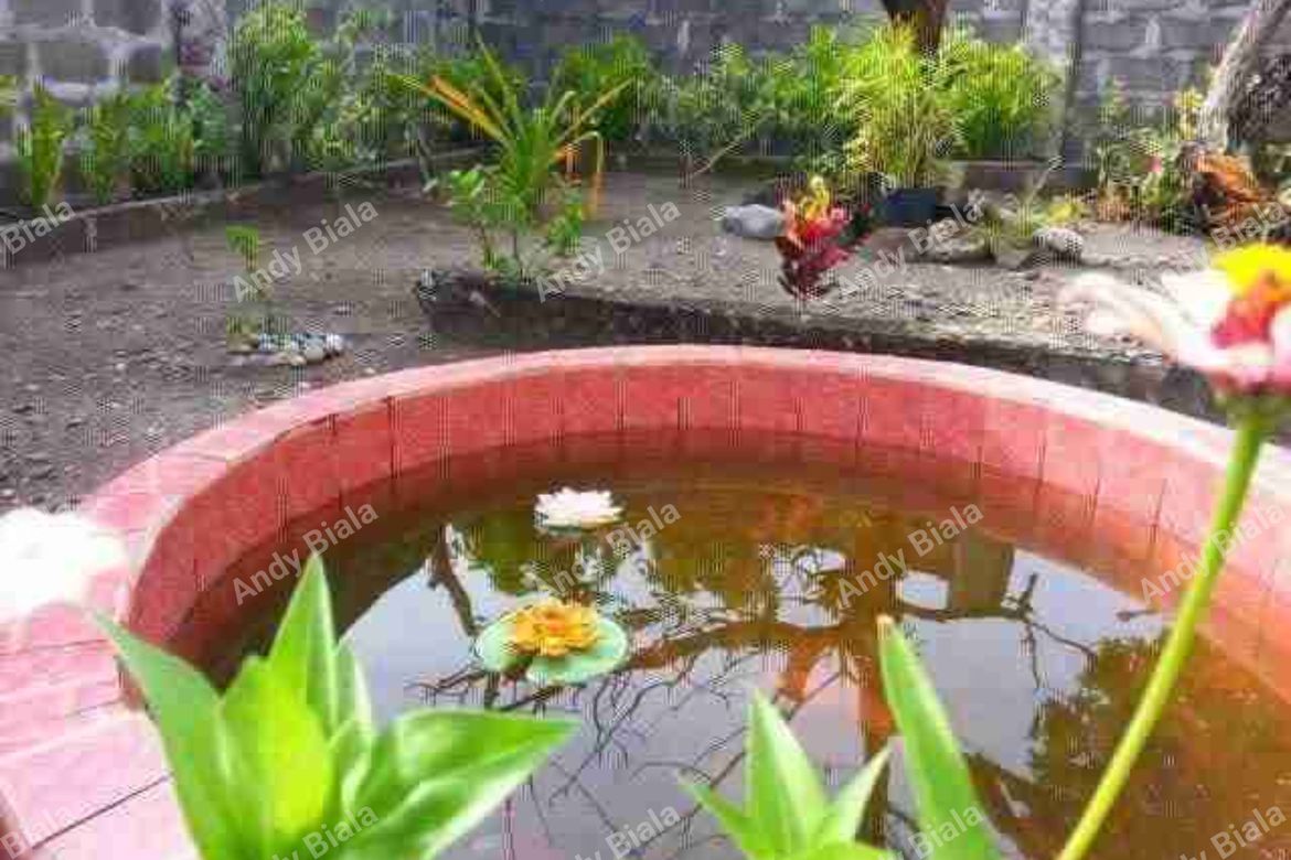 1 Bedroom House for Sale in Barangobong, Santa Lucia, Ilocos Sur – photo 3