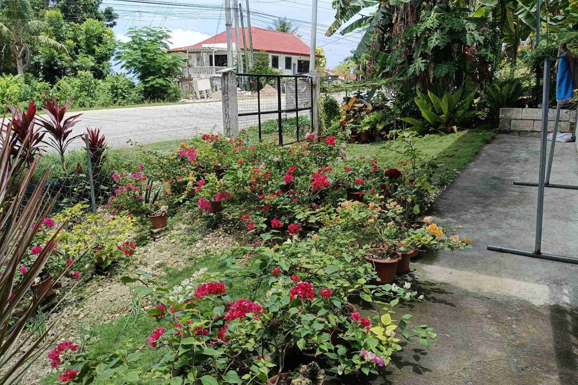1 Bedroom House for Sale in Bayacabac, Maribojoc, Bohol – photo 6