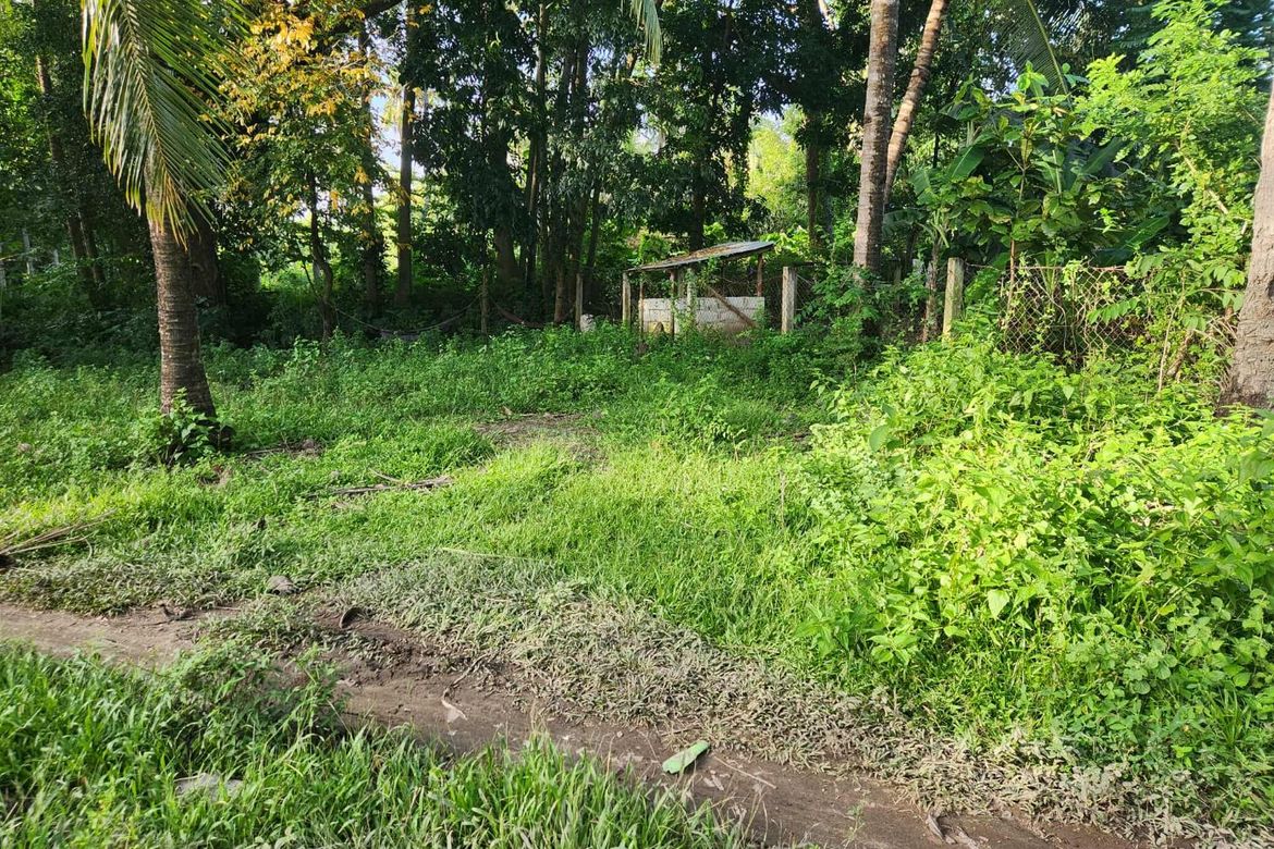 1 Bedroom House for Sale in Poblacion, Zamboanguita, Negros Oriental – photo 2