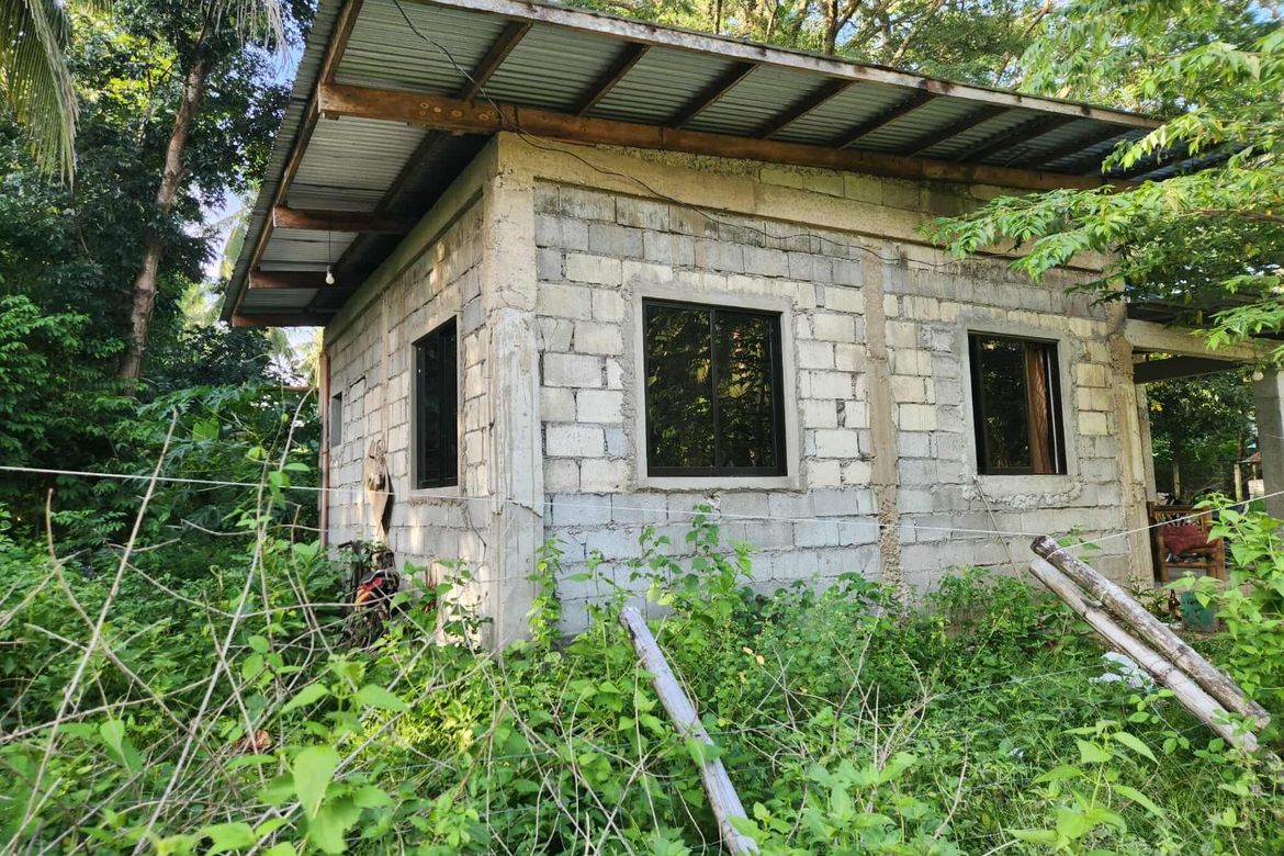 1 Bedroom House for Sale in Poblacion, Zamboanguita, Negros Oriental – photo 3