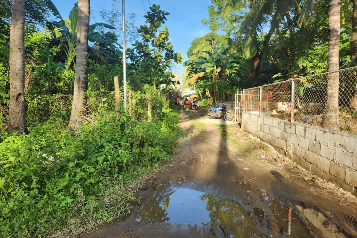 1 Bedroom House for Sale in Poblacion, Zamboanguita, Negros Oriental – photo 4