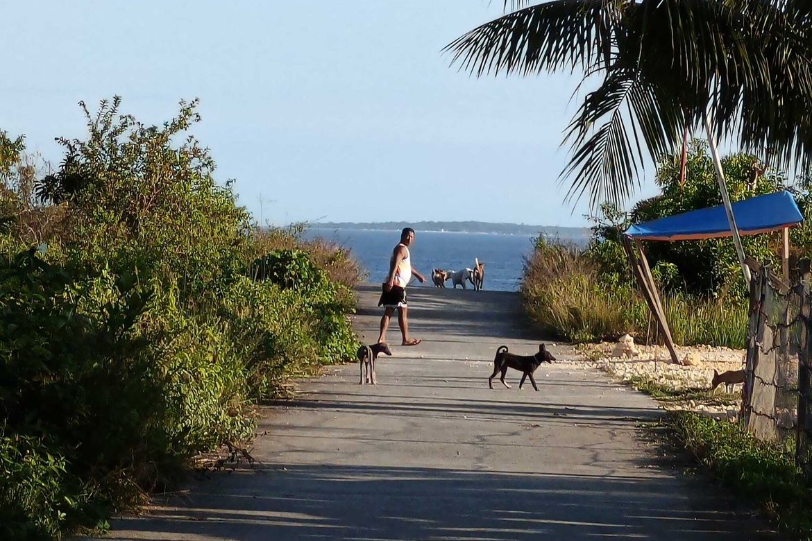 1 Bedroom House for Sale in San Isidro, Dauis, Bohol