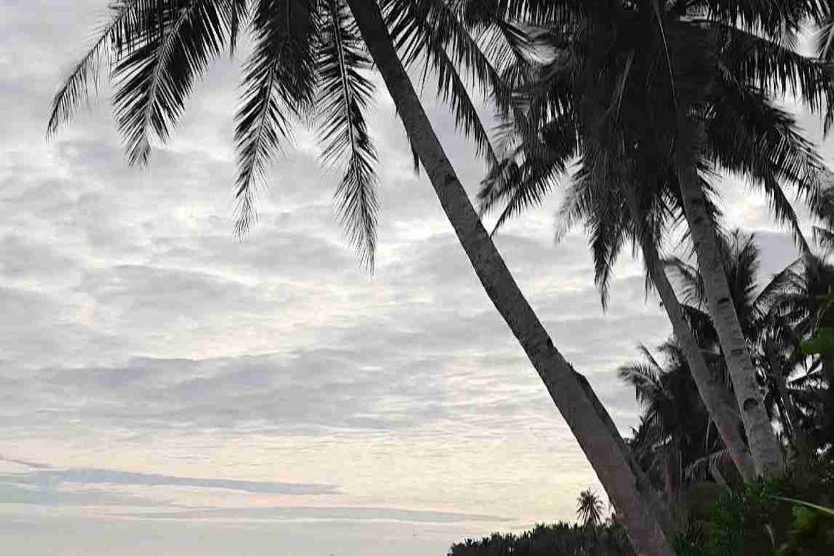 1 Bedroom House for Sale in Santa Fe, General Luna, Surigao del Norte – photo 9