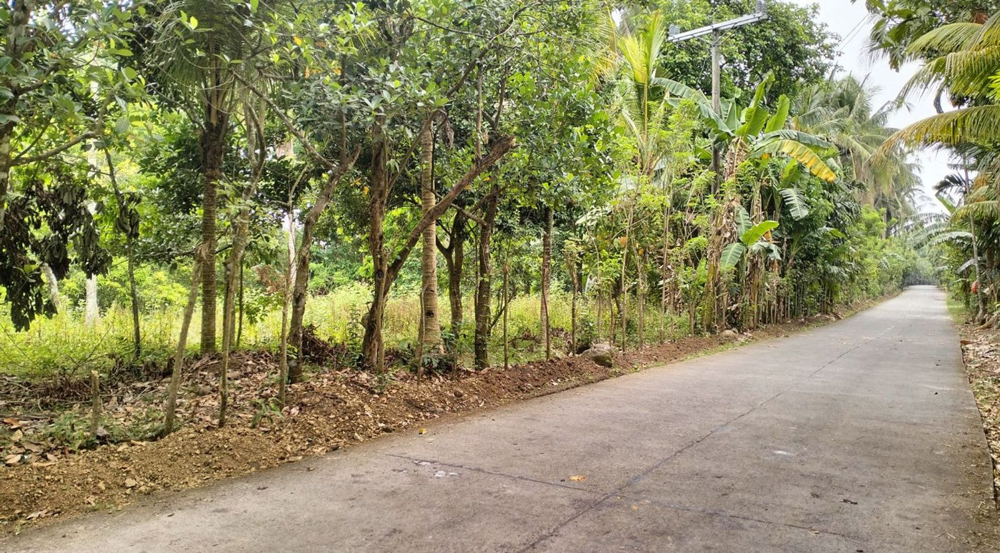 1-Hectare Titled Farm Lot for Sale in Narvaez, General Emilio Aguinaldo, Cavite – photo 2