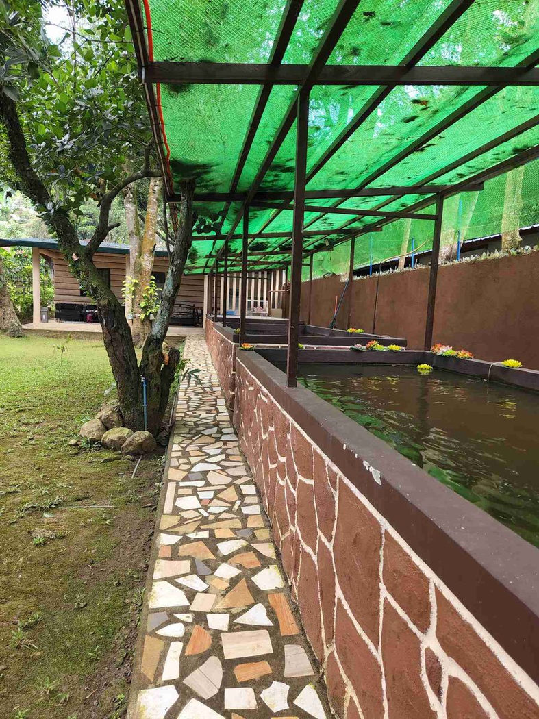 11-Bedroom Resort Villa for Sale in Pinugay, Baras, Rizal – photo 19