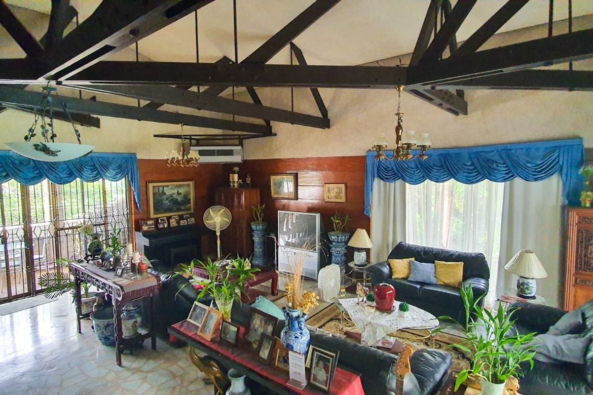11 Bedroom Villa for Sale in Dela Paz, Antipolo, Rizal – photo 3