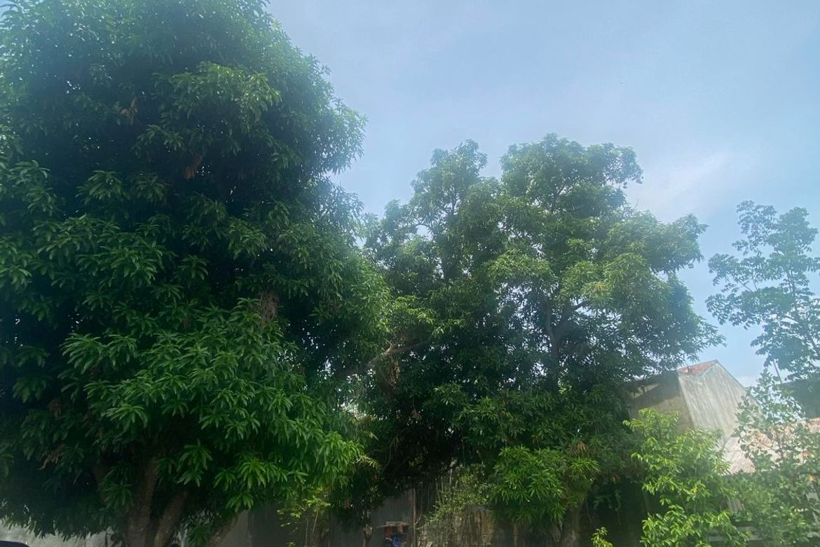 13 Bedroom Commercial for Sale in San Agustin, Magalang, Pampanga – photo 8