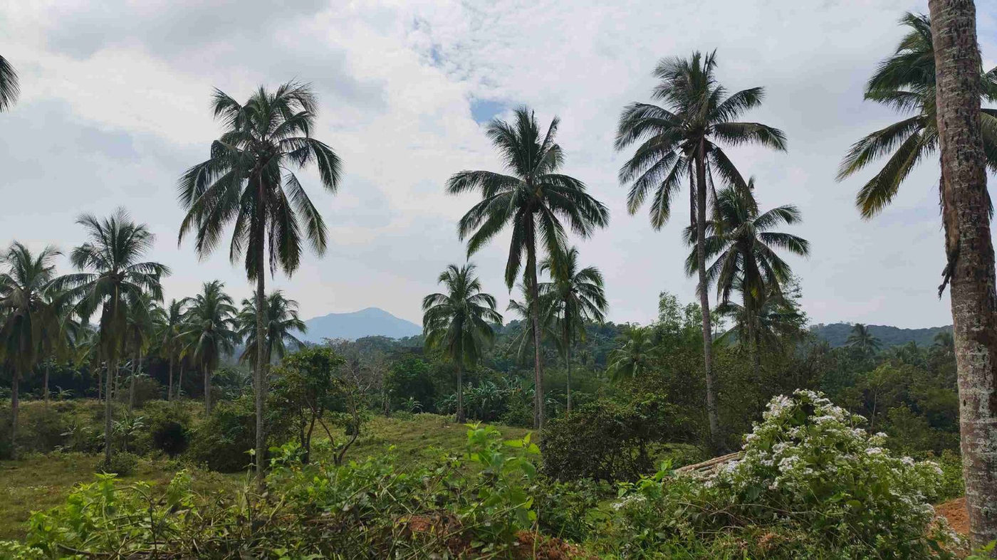 150 SQM Lot with Mountain View for Sale in San Agustin, Magallanes, Cavite – photo 18