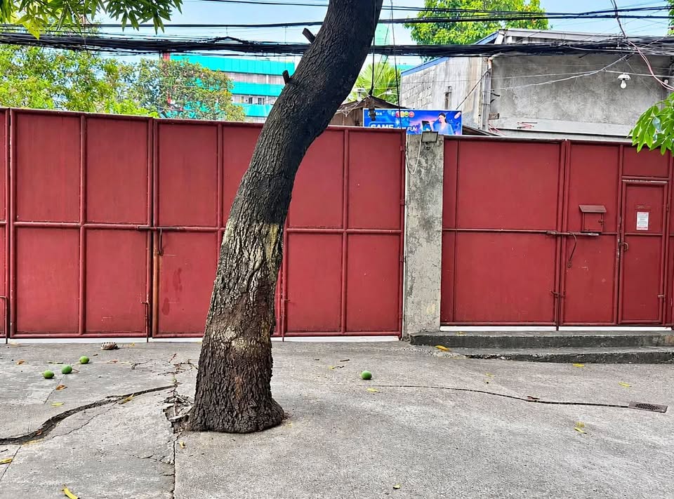 150 sqm Vacant Lot for Sale near UST, Sampaloc, Manila