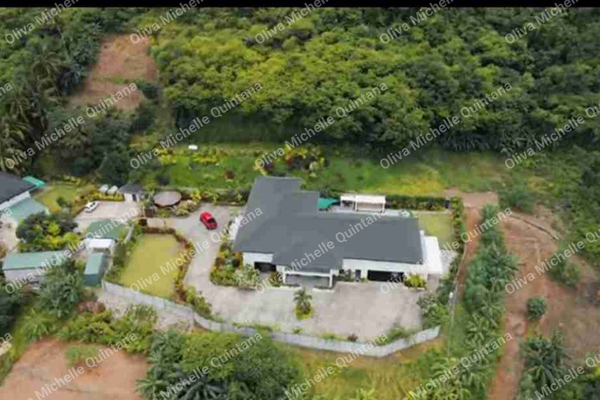 16 Bedroom House for Sale in Poblacion, Danao, Cebu – photo 4