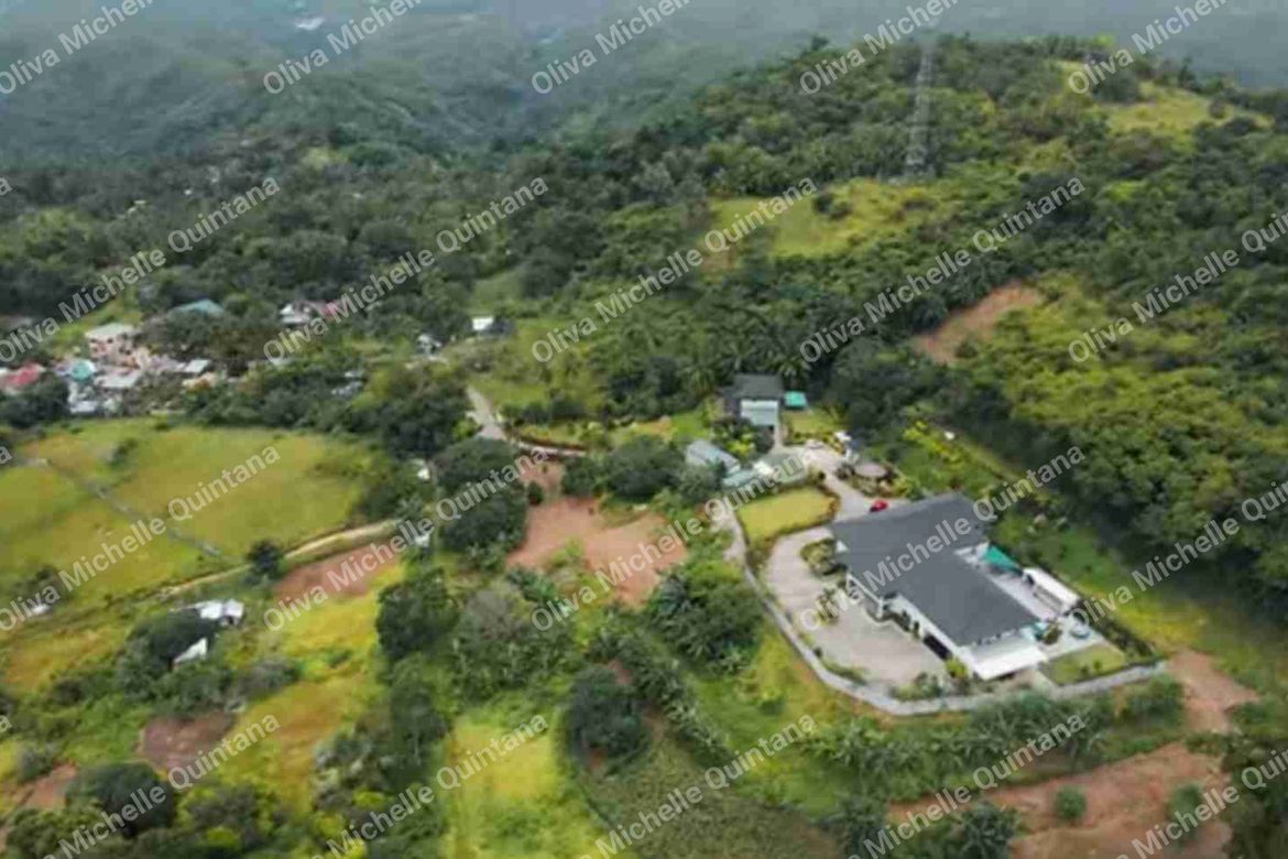 16 Bedroom House for Sale in Poblacion, Danao, Cebu – photo 5