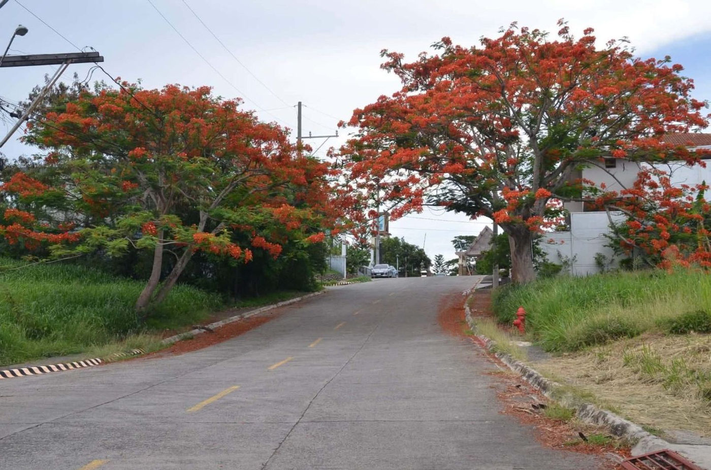 180 SQM Lot for Sale in San Antonio, San Pedro, Laguna – photo 14