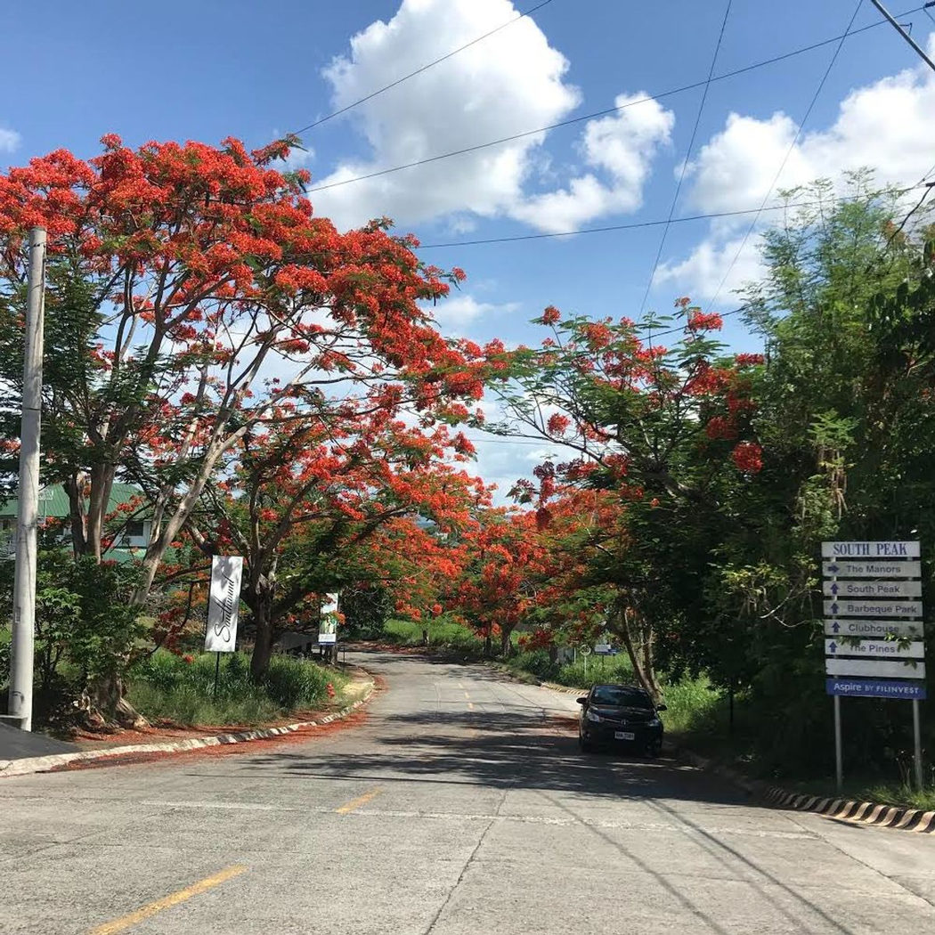 180 SQM Lot for Sale in San Antonio, San Pedro, Laguna – photo 15