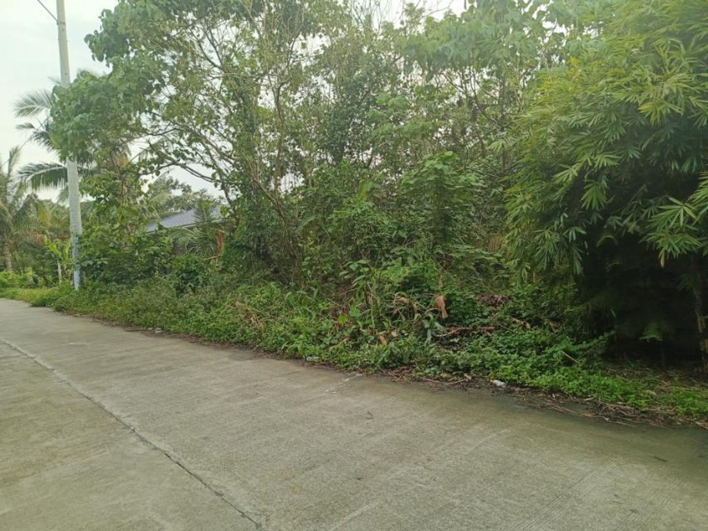 1,836 SQM Flat Lot for Sale in Indang, Cavite, 10 Minutes from Tagaytay – photo 5