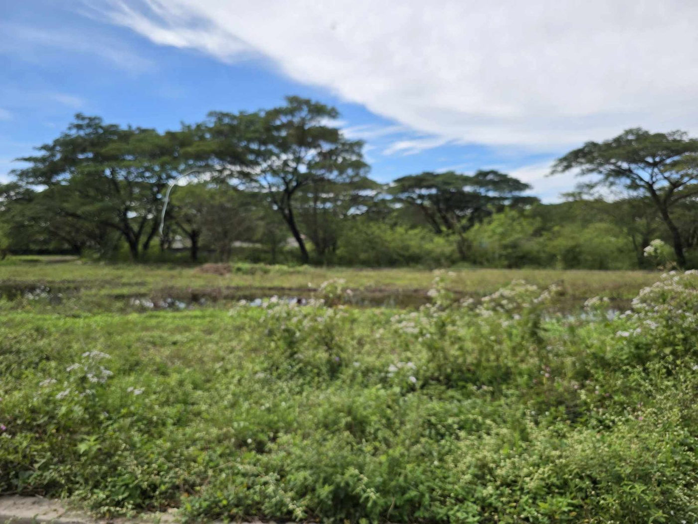 199 SQM Titled Residential Lot for Sale in Palo Alto, Baras, Rizal – photo 6