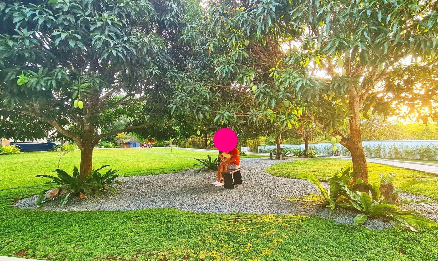 2.5-Hectare Farm Estate with Farmhouse for Sale in Bendita I, Magallanes, Cavite – photo 30