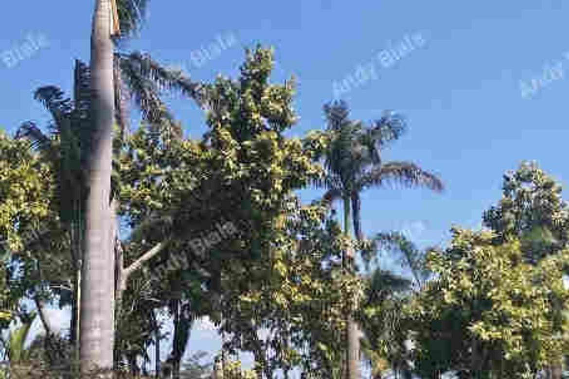 2 Bedroom Hotel / Resort for Sale in San Francisco, San Nicolas, Ilocos Norte – photo 3