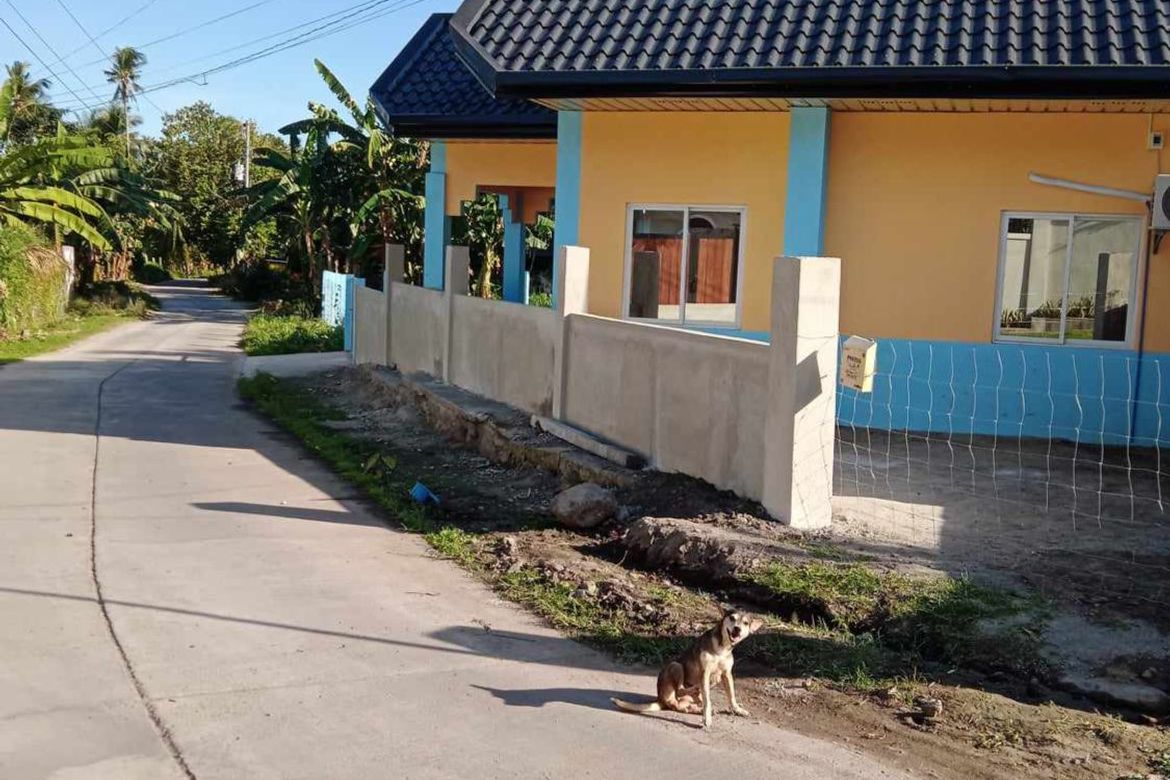 2 Bedroom House for Sale in Balayagmanok, Valencia, Negros Oriental – photo 3