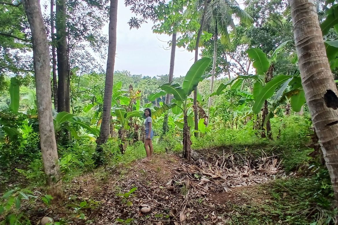 2 Bedroom House for Sale in Catamboan, Lazi, Siquijor – photo 6