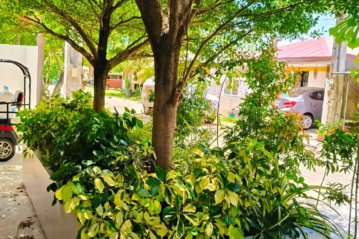2 Bedroom House for Sale in Gabi, Cordoba, Cebu – photo 6