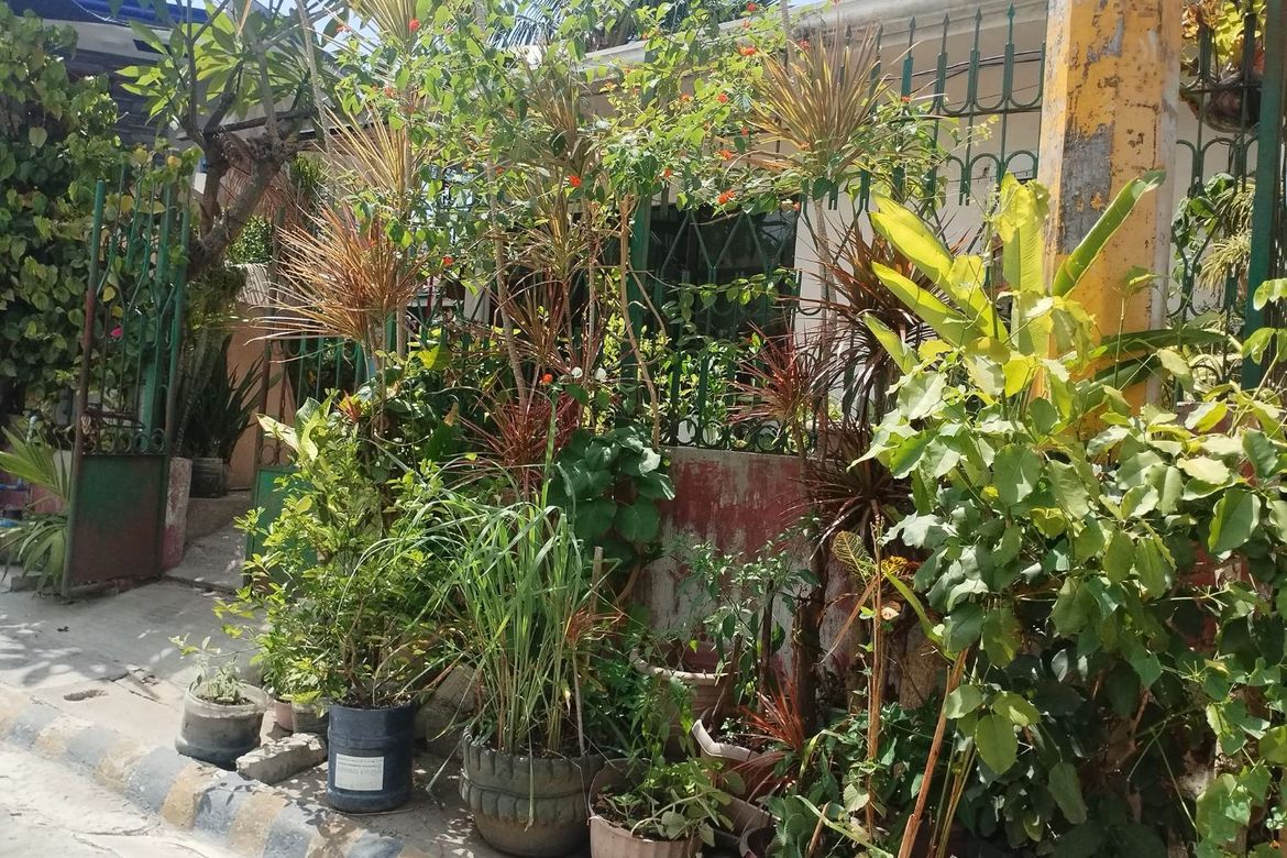 2 Bedroom House for Sale in Lawaan I, Talisay, Cebu – photo 8