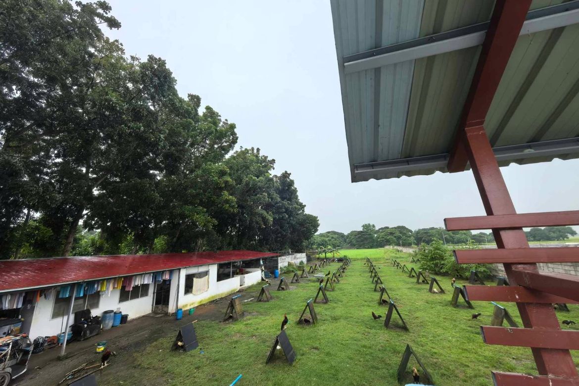 2 Bedroom House for Sale in Mabini, Tarlac, Tarlac – photo 3