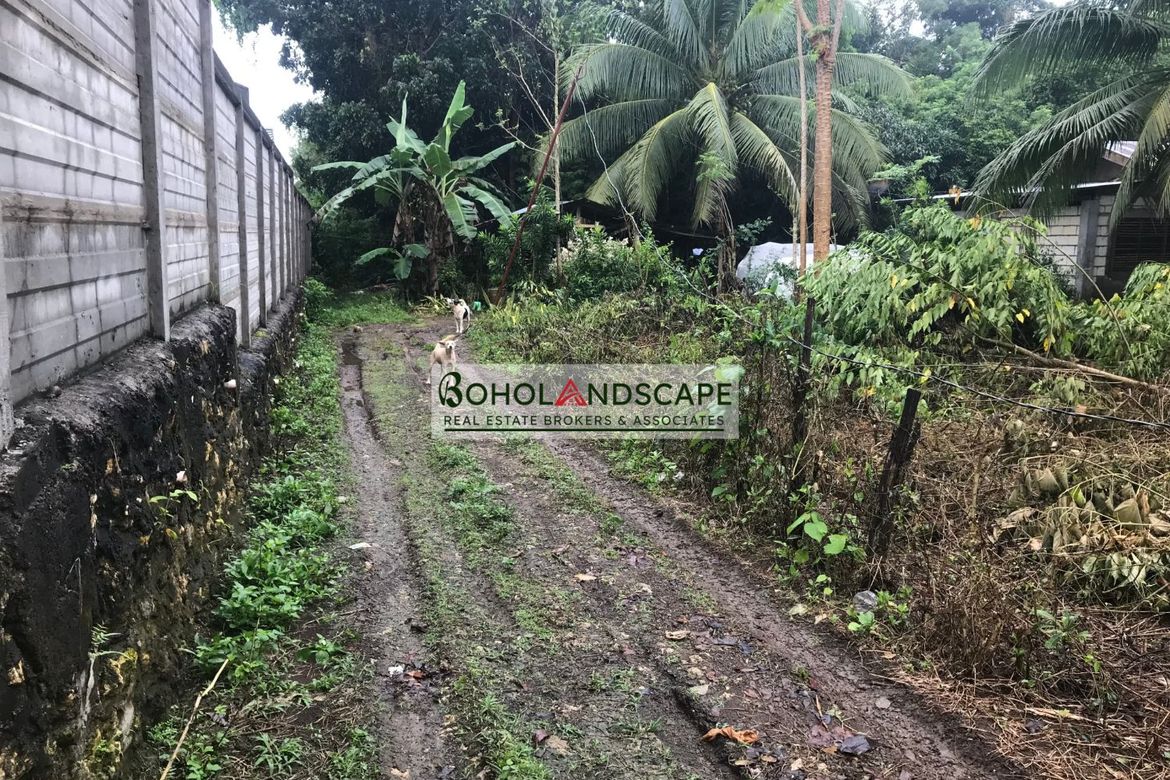 2 Bedroom House for Sale in Mayacabac, Dauis, Bohol