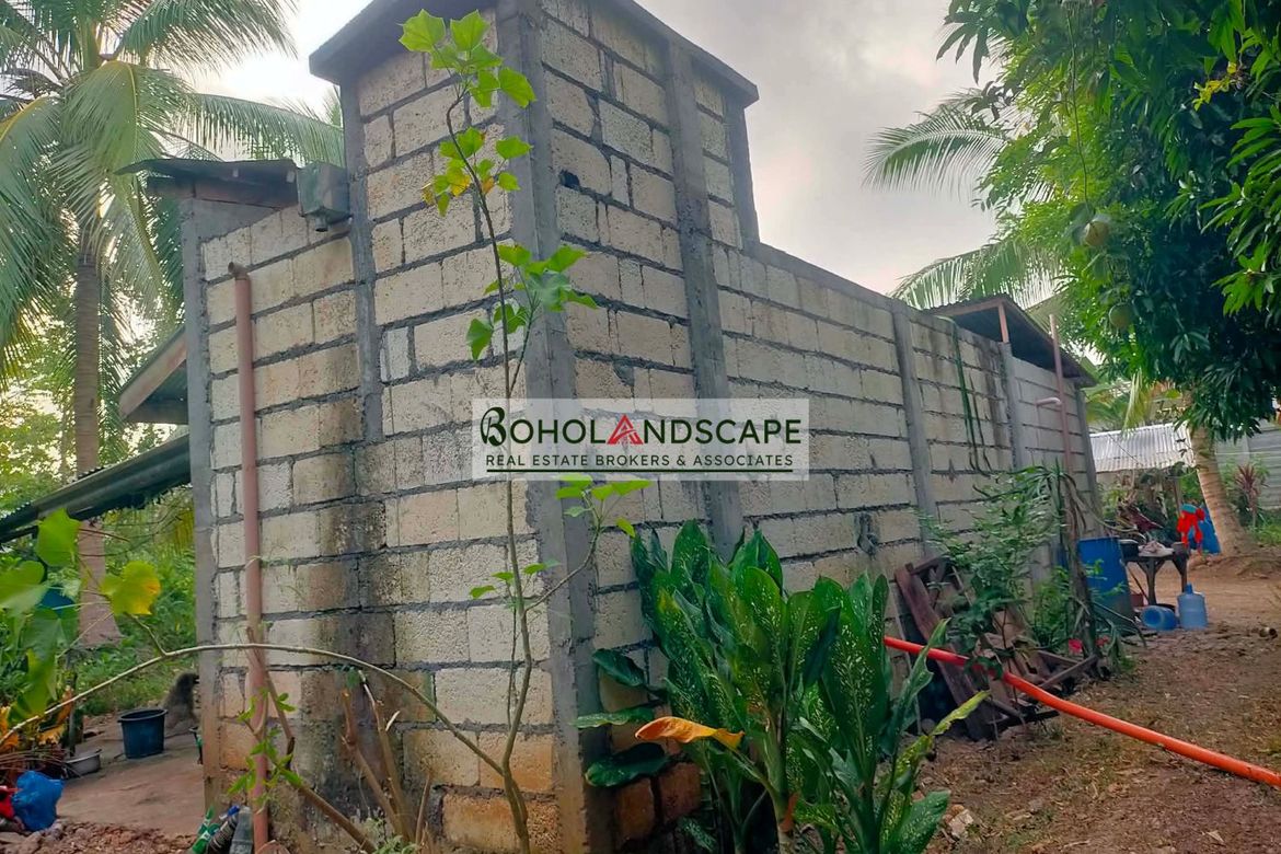 2 Bedroom House for Sale in Mayacabac, Dauis, Bohol – photo 2