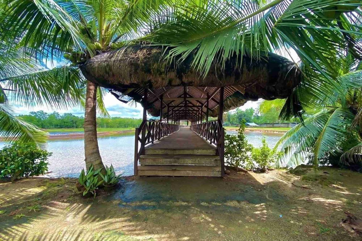 2 Bedroom House for Sale in Nueva Estrella, Bien Unido, Bohol – photo 5