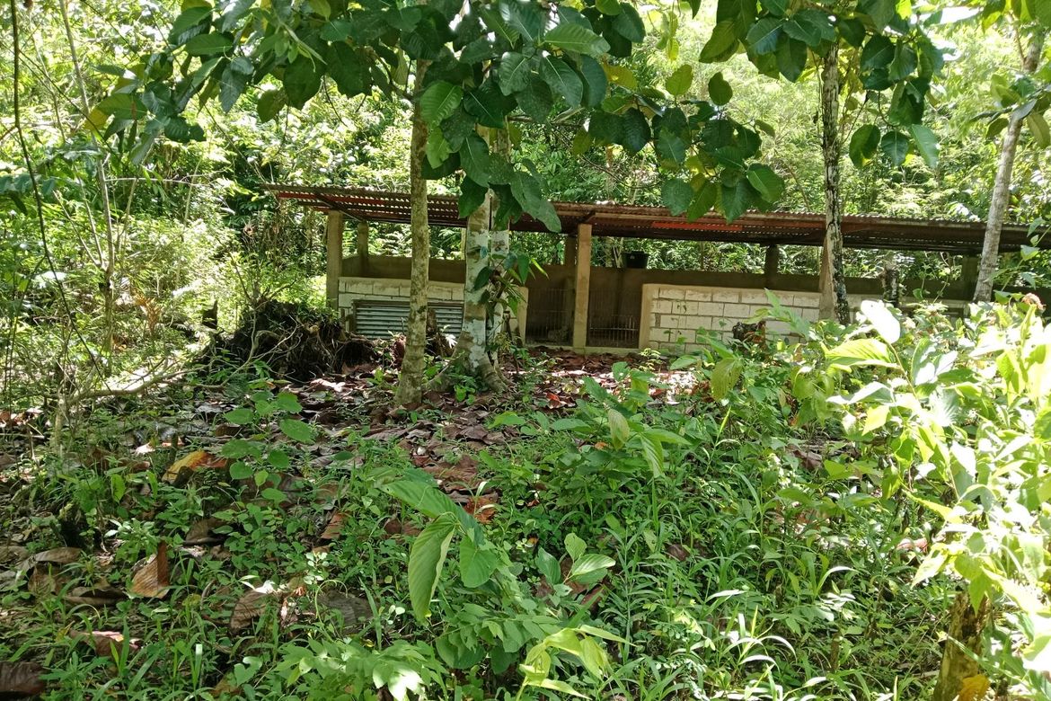 2 Bedroom House for Sale in Poblacion, Sagbayan, Bohol – photo 3