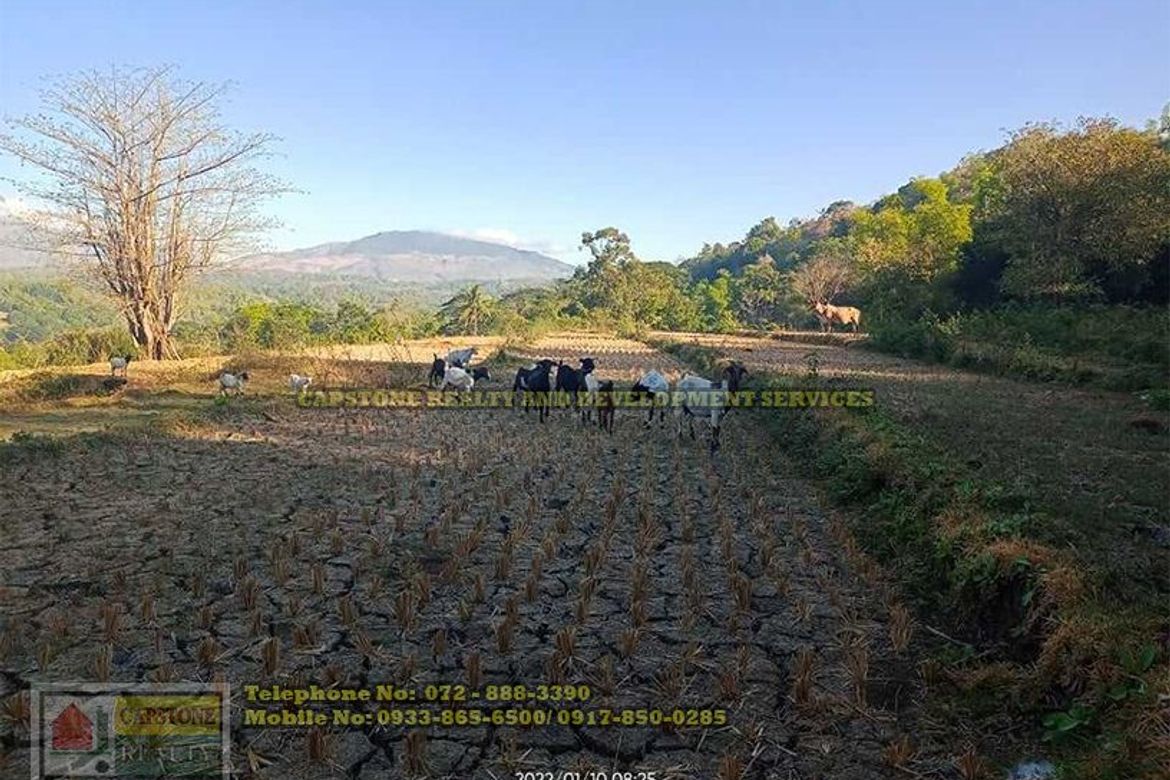 2 Bedroom House for Sale in Poblacion South, San Juan, Abra – photo 3