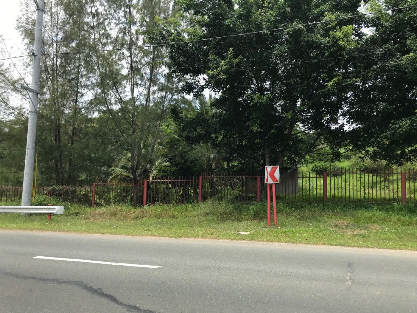 22.7-Hectare Fruit-Bearing Agricultural Land for Sale along Marilaque Highway, Sampaloc, Tanay – photo 3