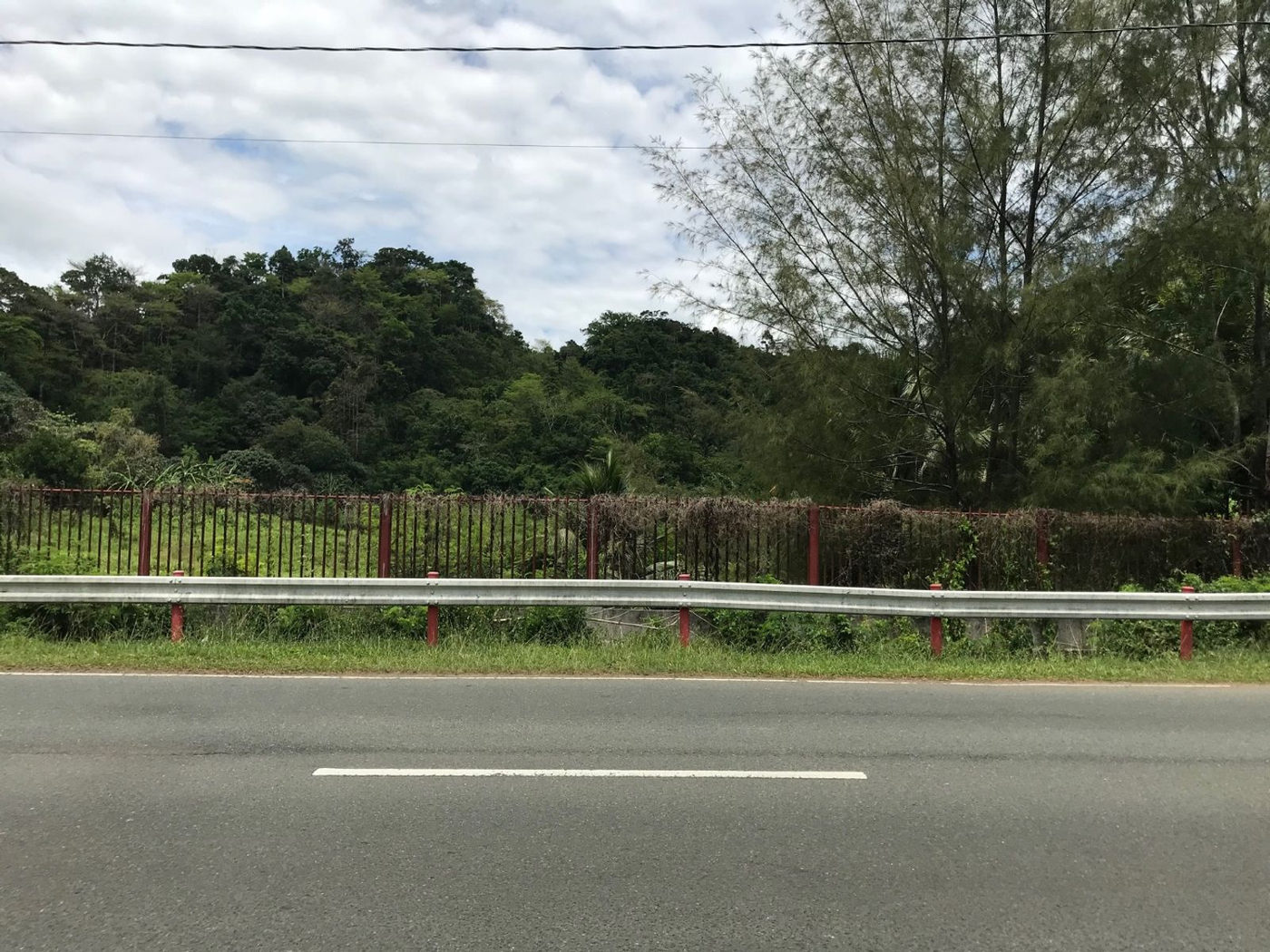 22.7-Hectare Fruit-Bearing Agricultural Land for Sale along Marilaque Highway, Sampaloc, Tanay – photo 4