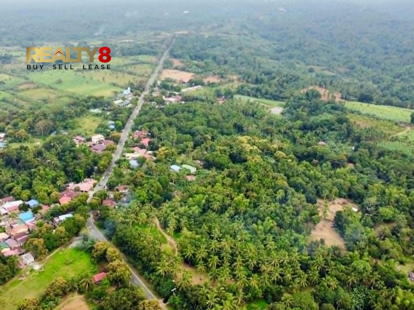 3.7-Hectare Countryside Property for Sale in Barangay 3, Magallanes, Cavite – photo 9