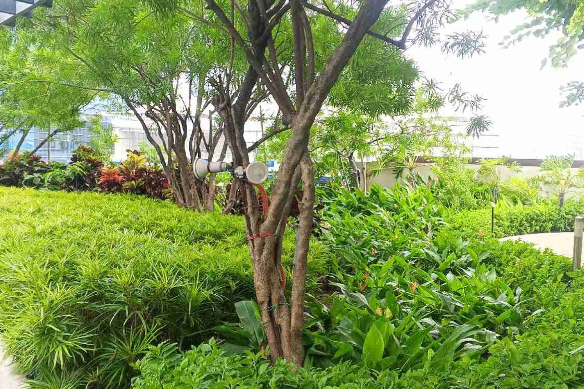 3 Bedroom Condo for Sale in San Lorenzo Place, Bangkal, Makati, Metro Manila near MRT-3 Magallanes – photo 7