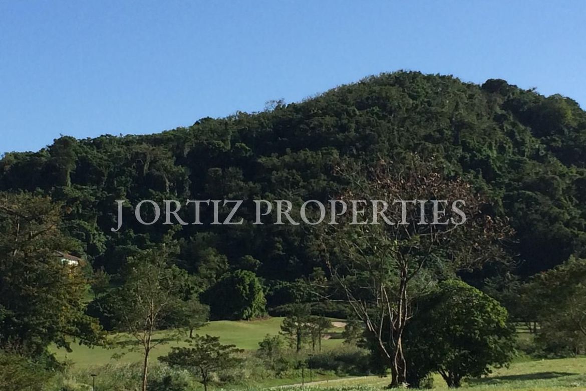 3 Bedroom House for Sale in Ayala Greenfield Estates, Maunong, Calamba, Laguna – photo 2
