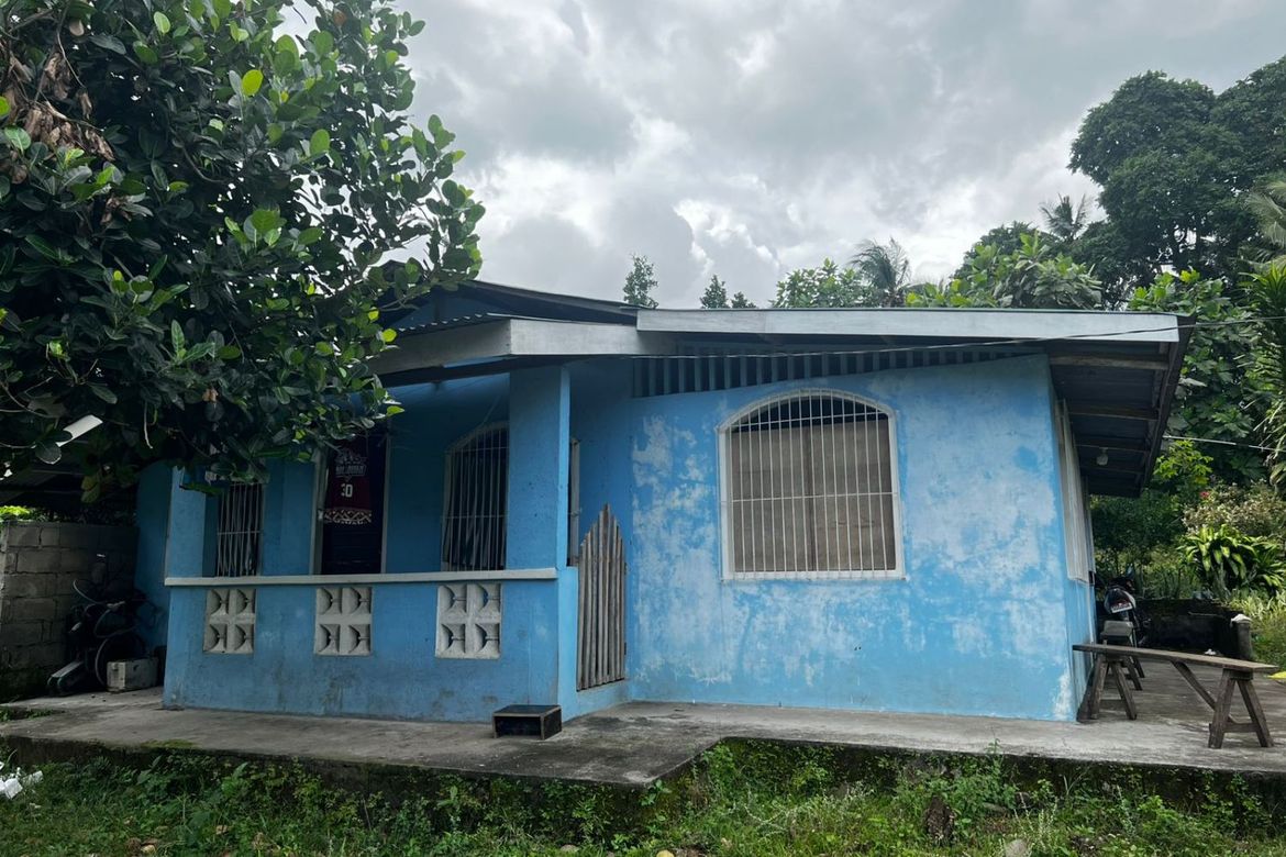 3 Bedroom House for Sale in Balayagmanok, Bacong, Negros Oriental