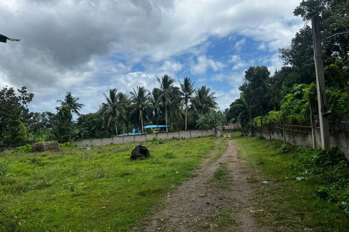 3 Bedroom House for Sale in Balayagmanok, Bacong, Negros Oriental – photo 2