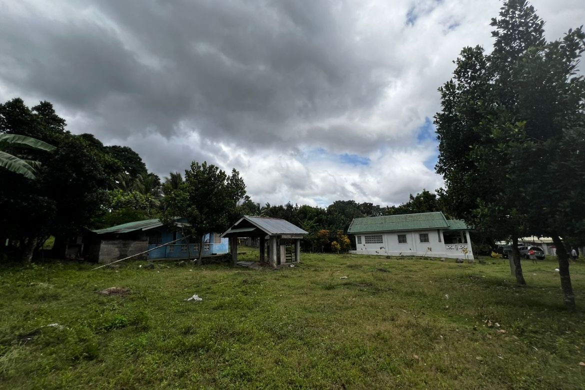 3 Bedroom House for Sale in Balayagmanok, Bacong, Negros Oriental – photo 3