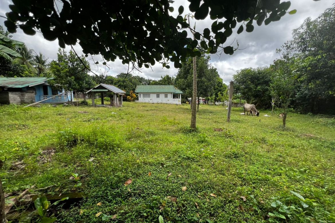 3 Bedroom House for Sale in Balayagmanok, Bacong, Negros Oriental – photo 6