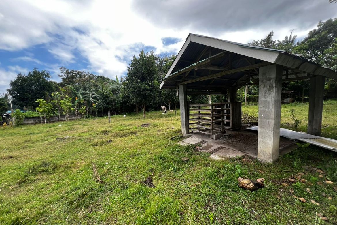 3 Bedroom House for Sale in Balayagmanok, Bacong, Negros Oriental – photo 7