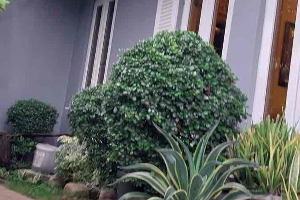 3 Bedroom House for Sale in Cadulawan, Talisay, Cebu – photo 4