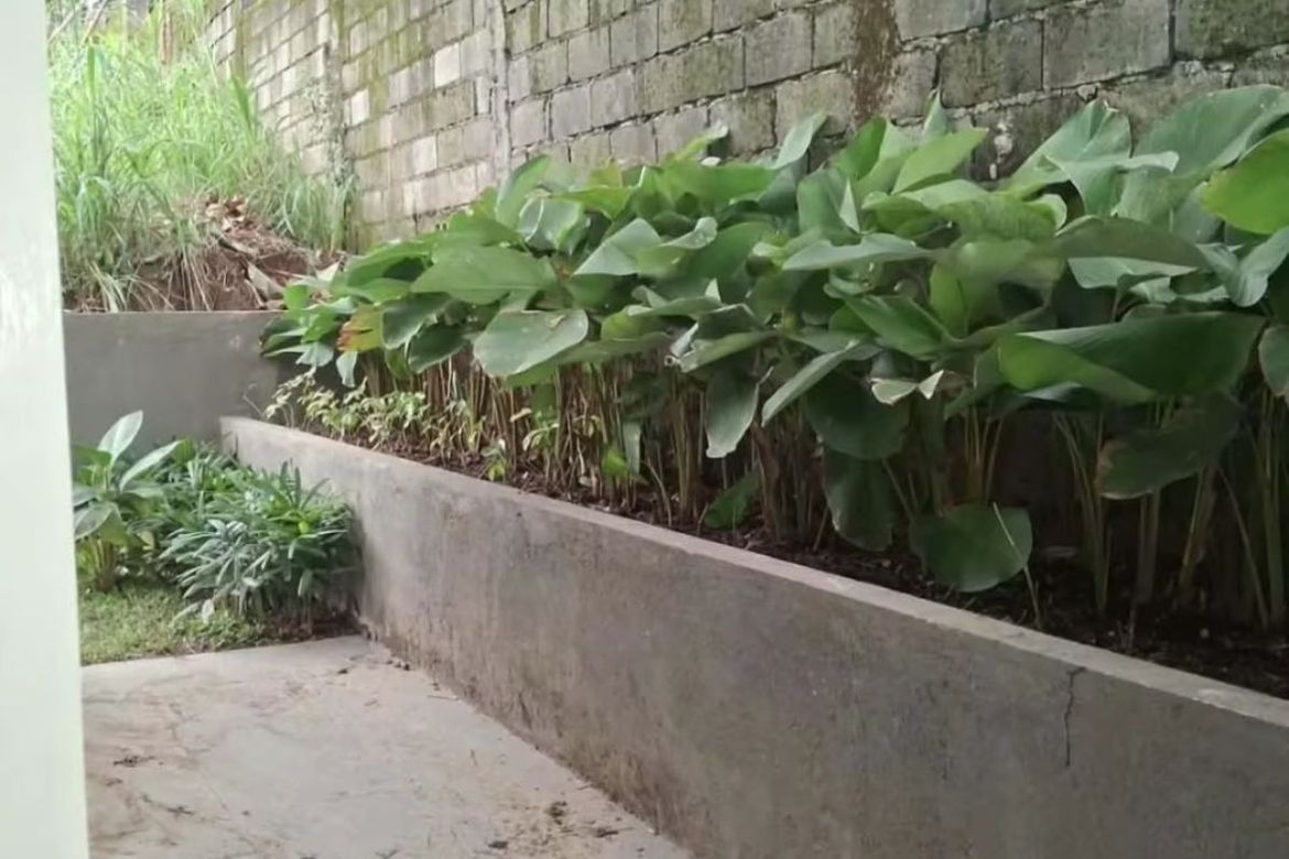 3 Bedroom House for Sale in Calawis, Antipolo, Rizal – photo 5