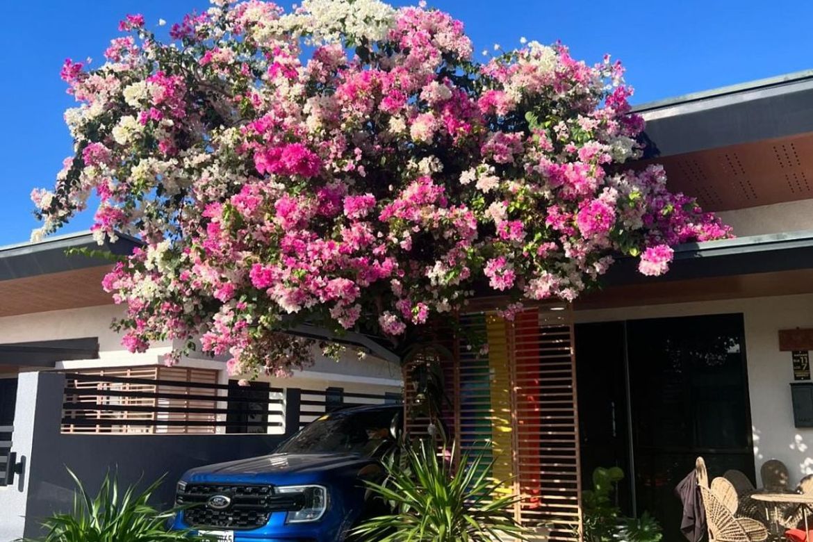 3 Bedroom House for Sale in Compostela, Cebu