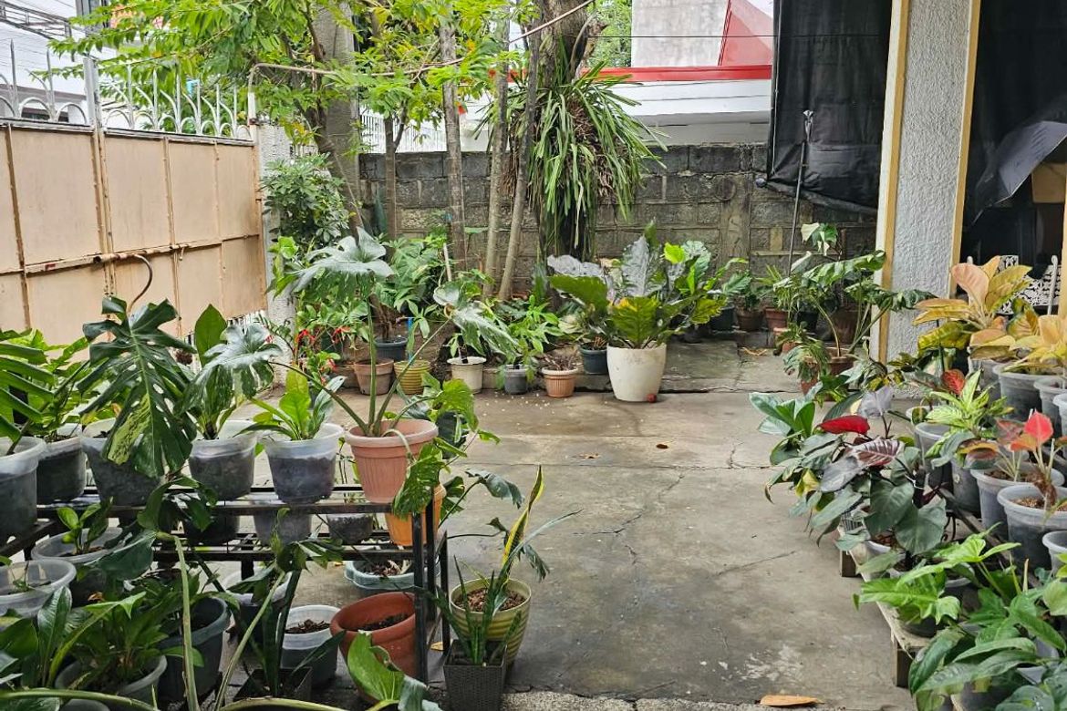 3 Bedroom House for Sale in Don Bosco, Parañaque, Metro Manila – photo 2