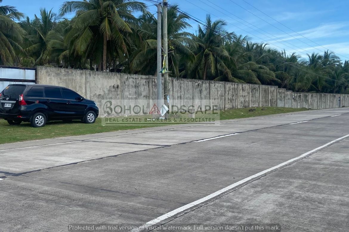 3 Bedroom House for Sale in Malinao East, Lila, Bohol – photo 2