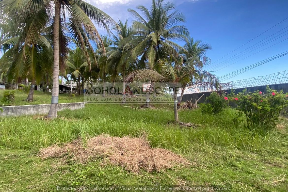 3 Bedroom House for Sale in Malinao East, Lila, Bohol – photo 5