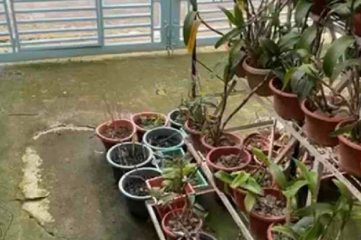 3 Bedroom House for Sale in Mansilingan, Bacolod, Negros Occidental – photo 3